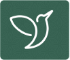 ...assessment icon