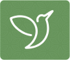 ...assessment icon