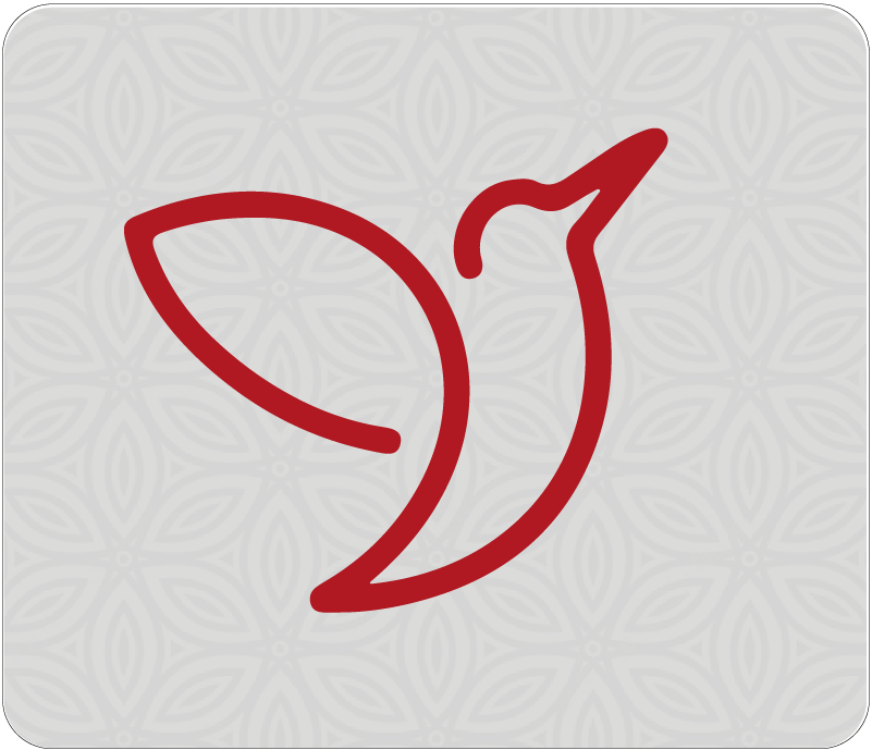 ...assessment icon